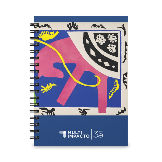 CU5 - Cuaderno de Arte Universal — Henri Matisse